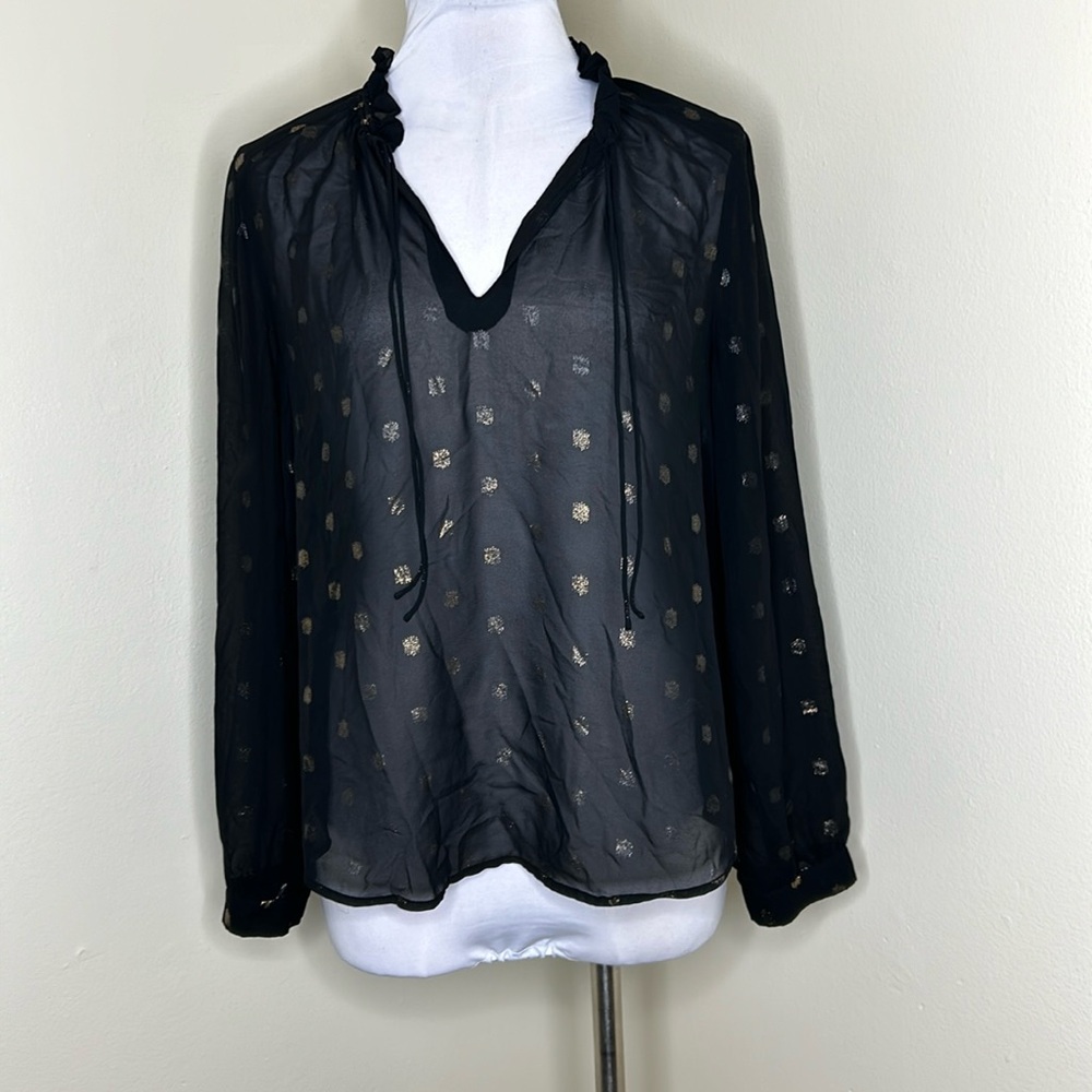 Express Sheer long sleeve shirt